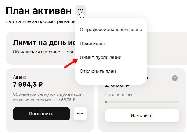 Профессиональный план в кабинете Авито: план активен, оплата за просмотры, аванс и лимит публикаций