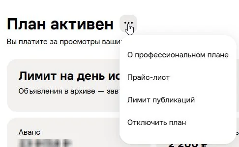 Меню Профессионального плана Авито: пункт «Лимит публикаций»